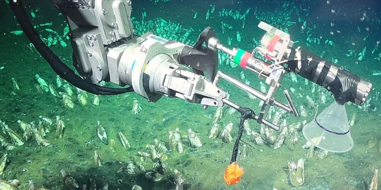 FINALIZÓ EL STREAM DEL CONICET